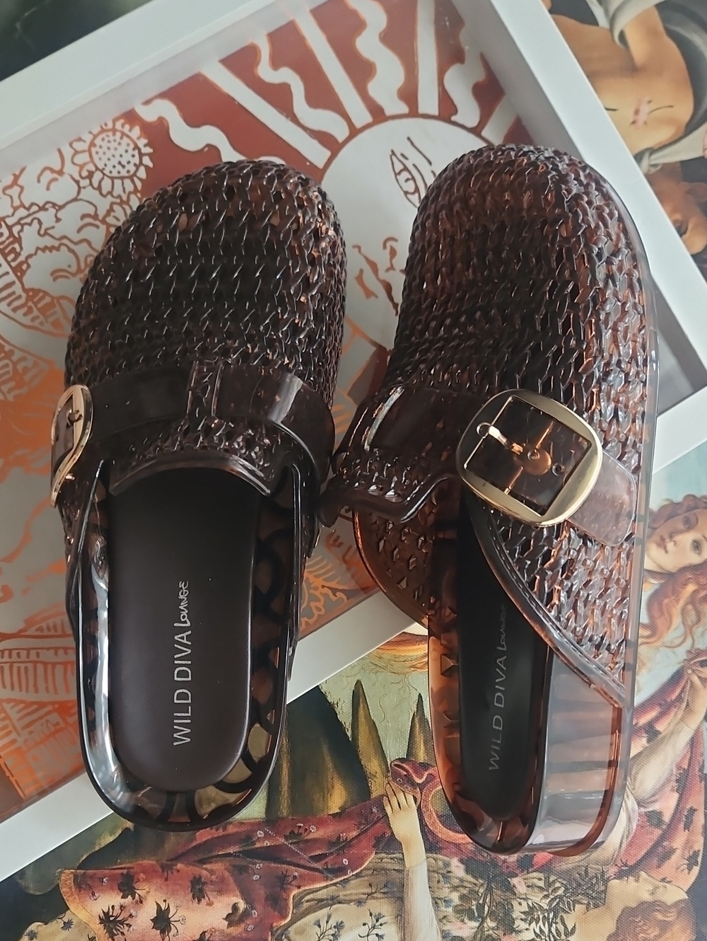 🦔🦔🦔 WILD DIVA Clear Jelly Mule Clogs 🦔🦔🦔